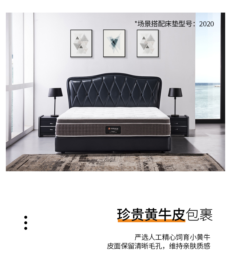 柏拉圖_03.jpg